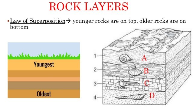 Rock youngest layers oldest to 1. Relative